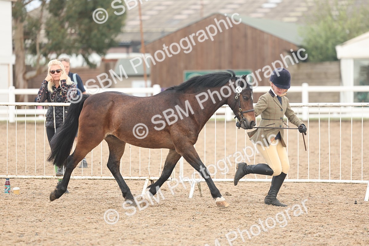 SBM_08503 - Class 29 - IH Veteran Pony