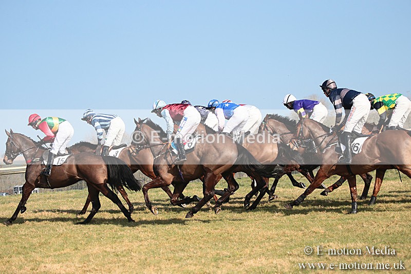 PtP 230219 76 - Vine & Craven Point-To-Point - Barbury 23/02/19