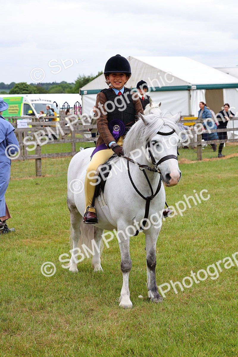 SBM_08865 - Class 42-43 - LIHS BSPS Heritage Working Sports Pony