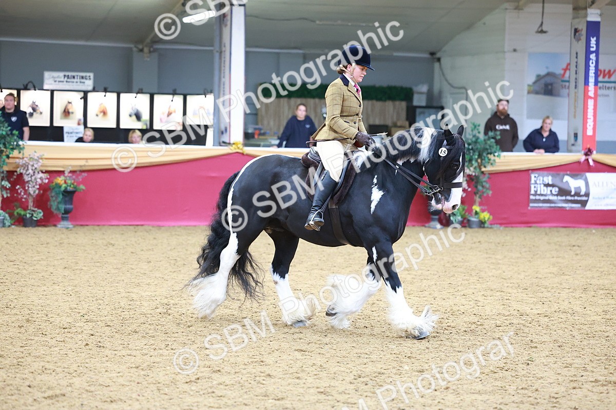 SBM_06278 - Class 12R - Ridden Pre-Vet