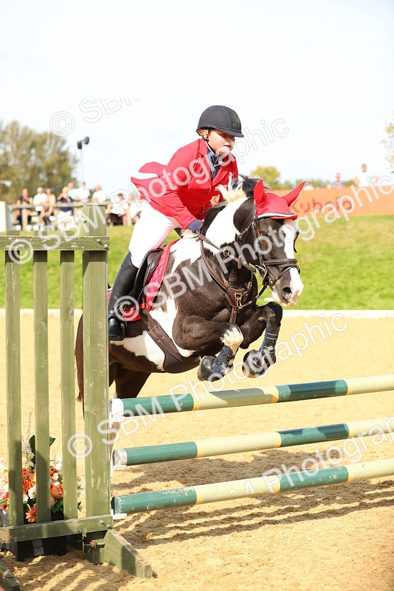 SBM_67939 - J17 - Junior Pony 80cm Championship