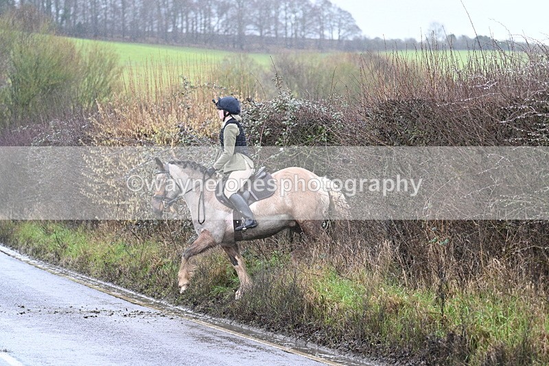 WJ7_7112 - Crossing A Camera