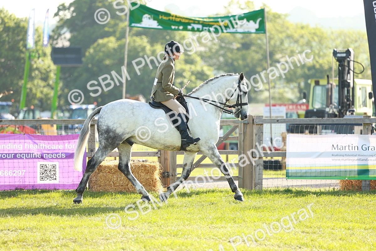 SBM_10724 - Class 66-69 - RIHS Ridden Hunters Inc Small Hunter