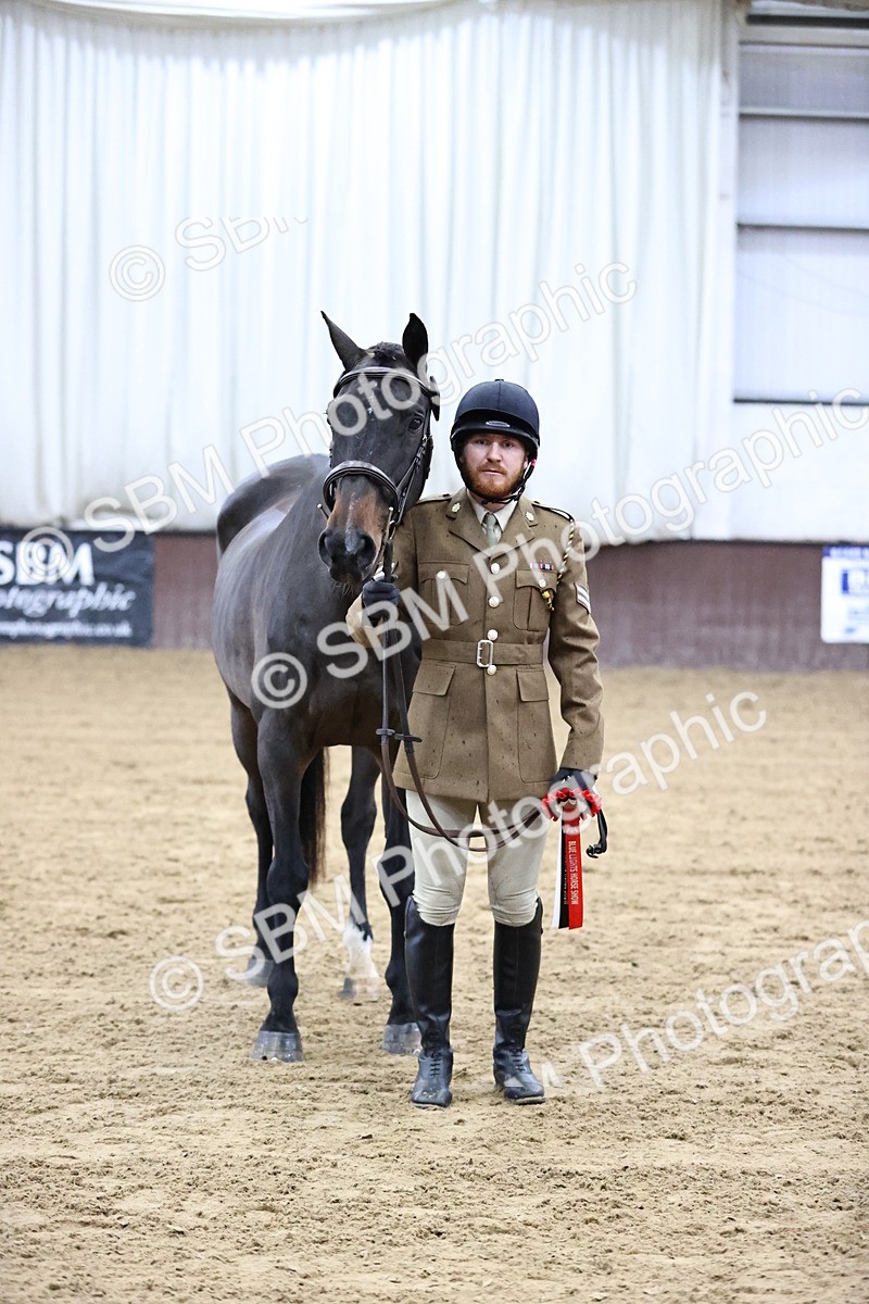 SBM_5219 - Class 39 - In Hand Gelding