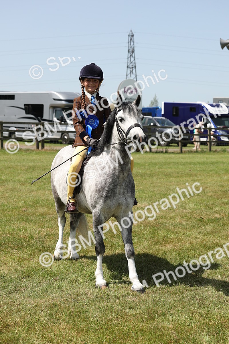 SBM_05362 - Class 24-25 - Mountain & Moorland In Hand Lead Rein and First Ridden