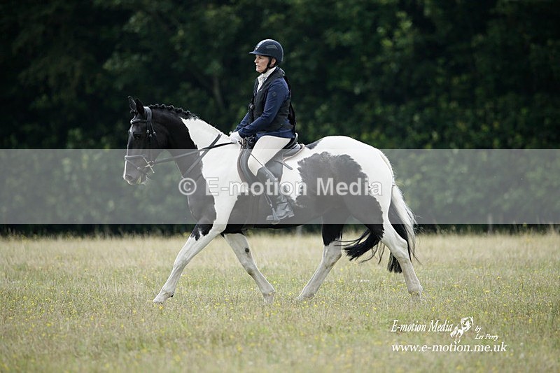 BVRC 030721 438 - Bourne Valley Riding Club Dressage 03/07/21