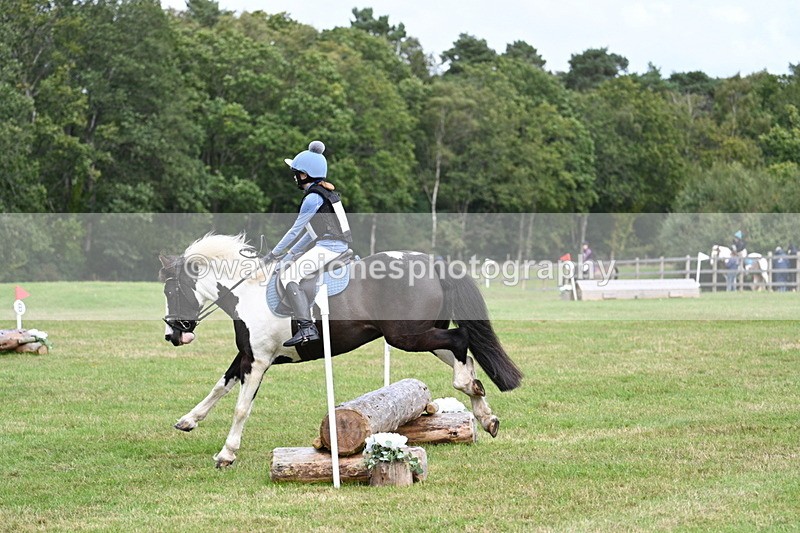 WJ7_8984 - 60cm Time 12:31 to 12:50