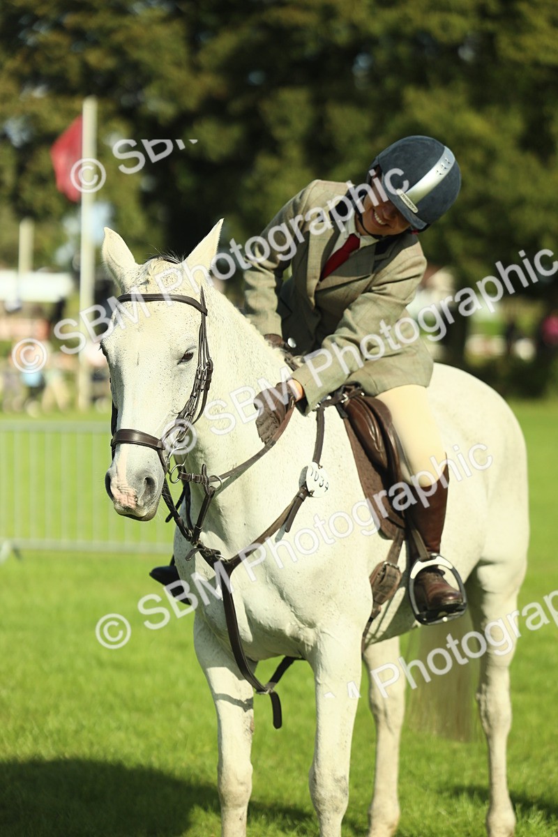 SBM_49865 - S32 - Novice & Newcomers Working Hunter