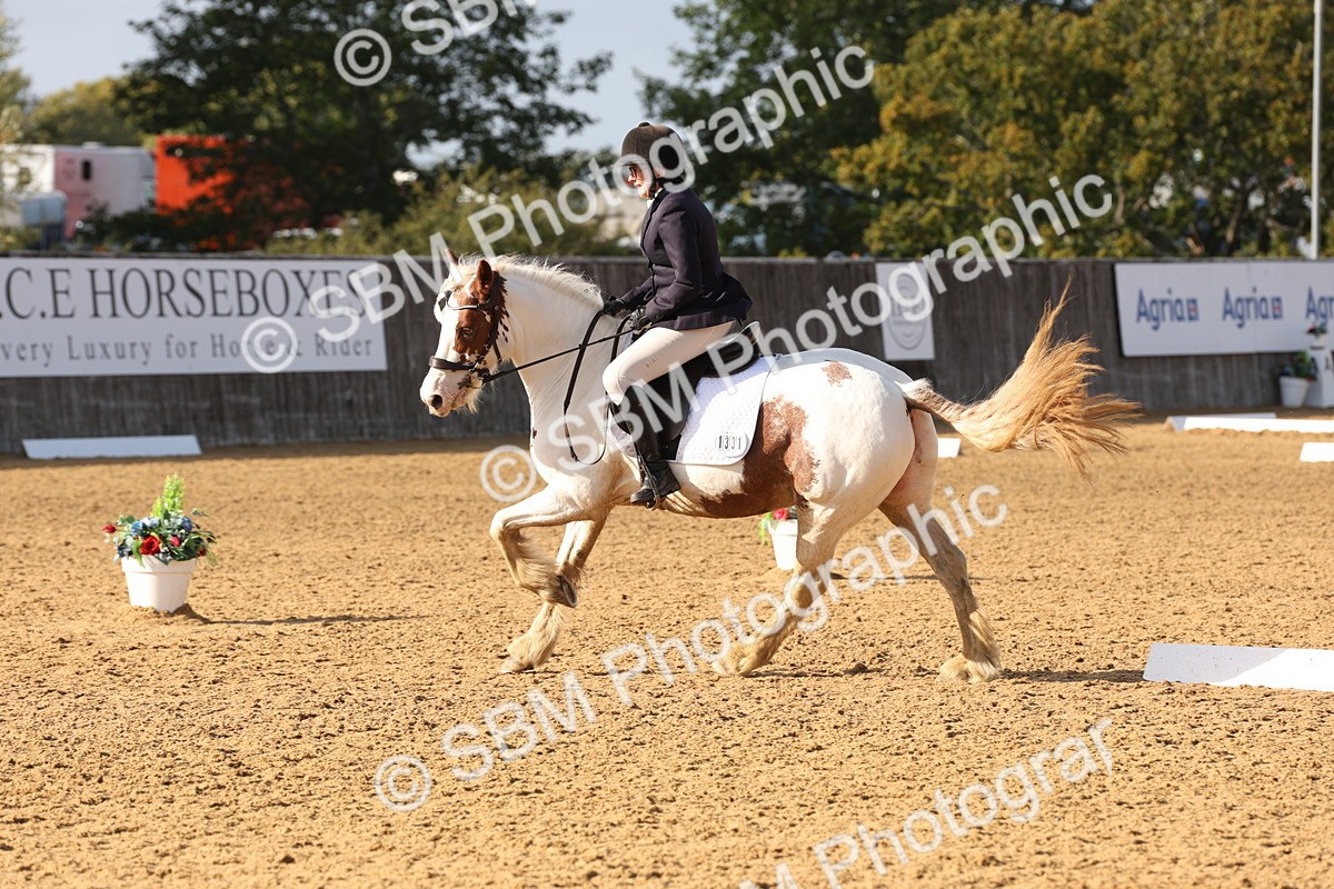 SBM_50520 - D12 - Small Tour Championship prelim 2