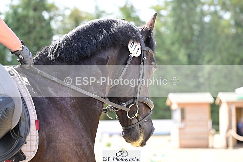 260802A-115336-05995 - Novice Silver break- end