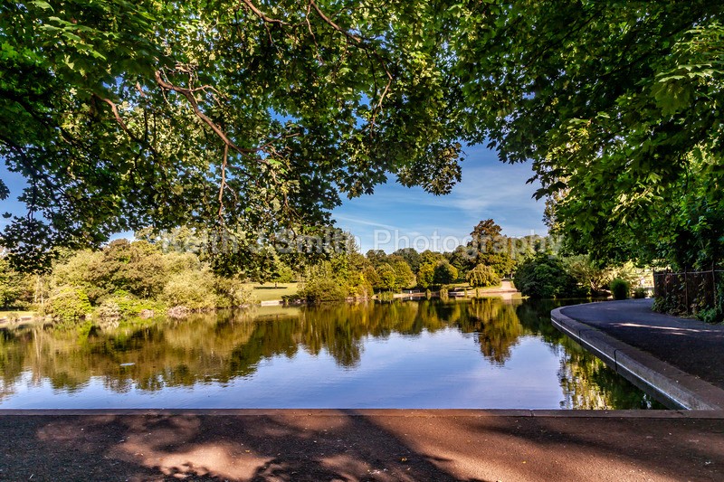 1SKJ7856 - Trees in Abington Park