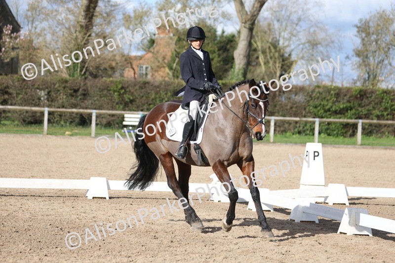 20260228-0840 - Class 6 - Novice 3