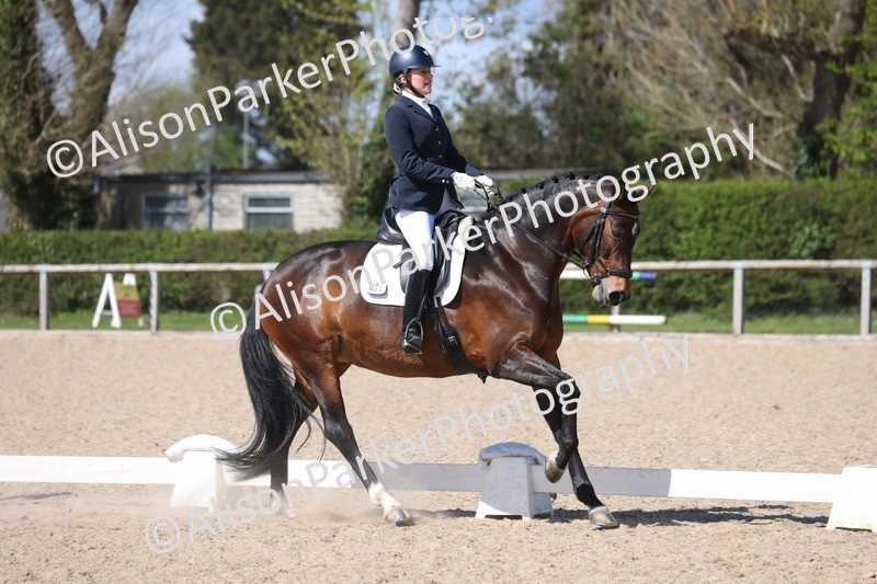 20260405-0601 - Class 7 - Medium 5