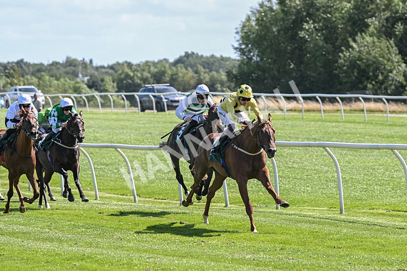 050825-Race 1-Reverberate-5022 - Race 1