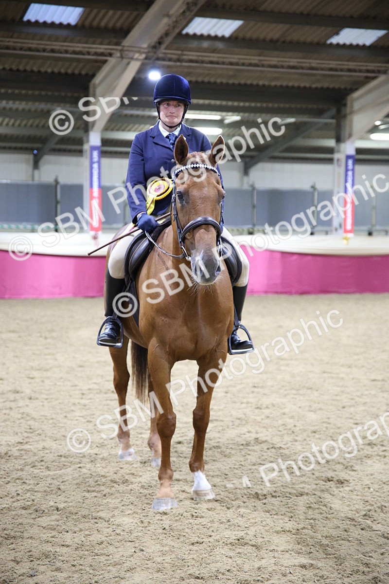 5K7A1516 - Class 108Ridden Retired Racehorse- Final Judging