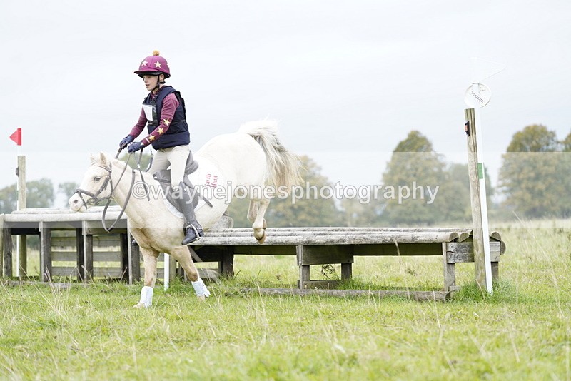 _DSC6950 - Time at Photographer 10:13 to 10:42