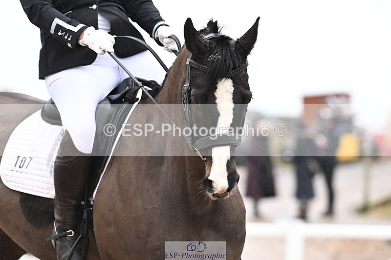 260213-154503-02875 - 107-Joanna.Johns