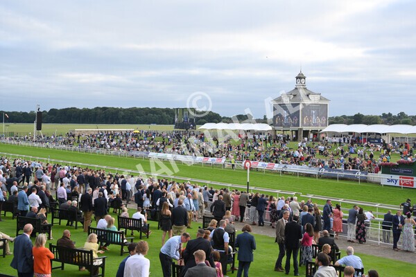 yr23072021r3-24 - Race 3 7.00pm The JKH 80th Birthday Celebration EBF Novice Median Auction Stakes (Plus 10 Race)