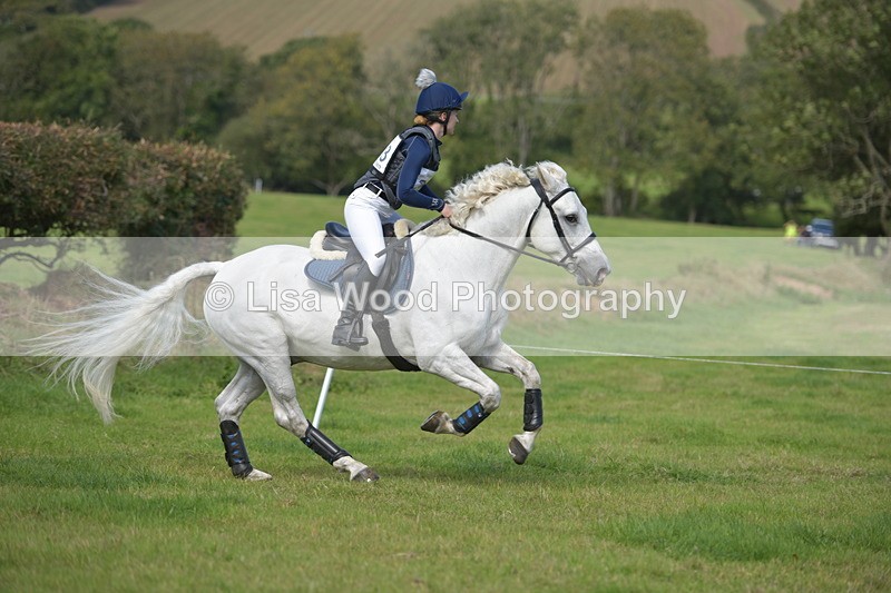 RAY_8828 - Class 2: Trekenning Open: Wall