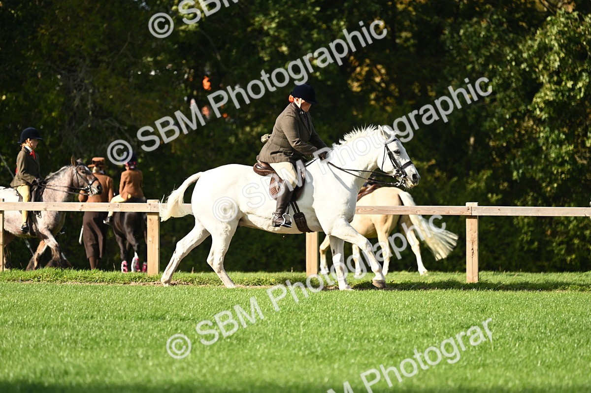 SBM_26455 - S6 - Novice & newcomer Ridden horse