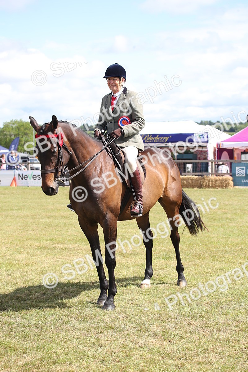 SBM_13334 - Class 95-96 - LIHS BSHA Rising Star Hack Riding Horse