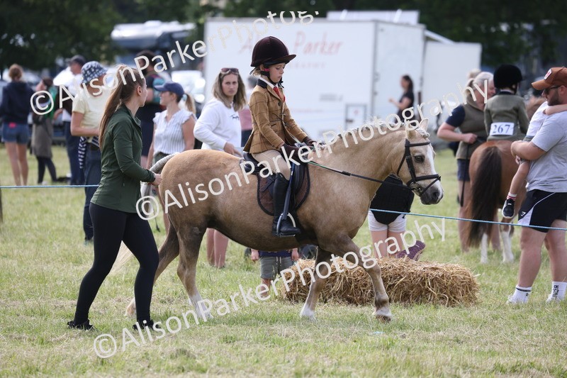 20260614-0794 - Class 20 - Beginners Working Hunter Pony