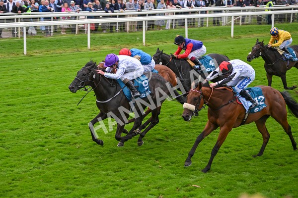 210824-Race 7-Yes Im Mali-5768 - Race 7 5.20pm Sky Bet Nursery Handicap