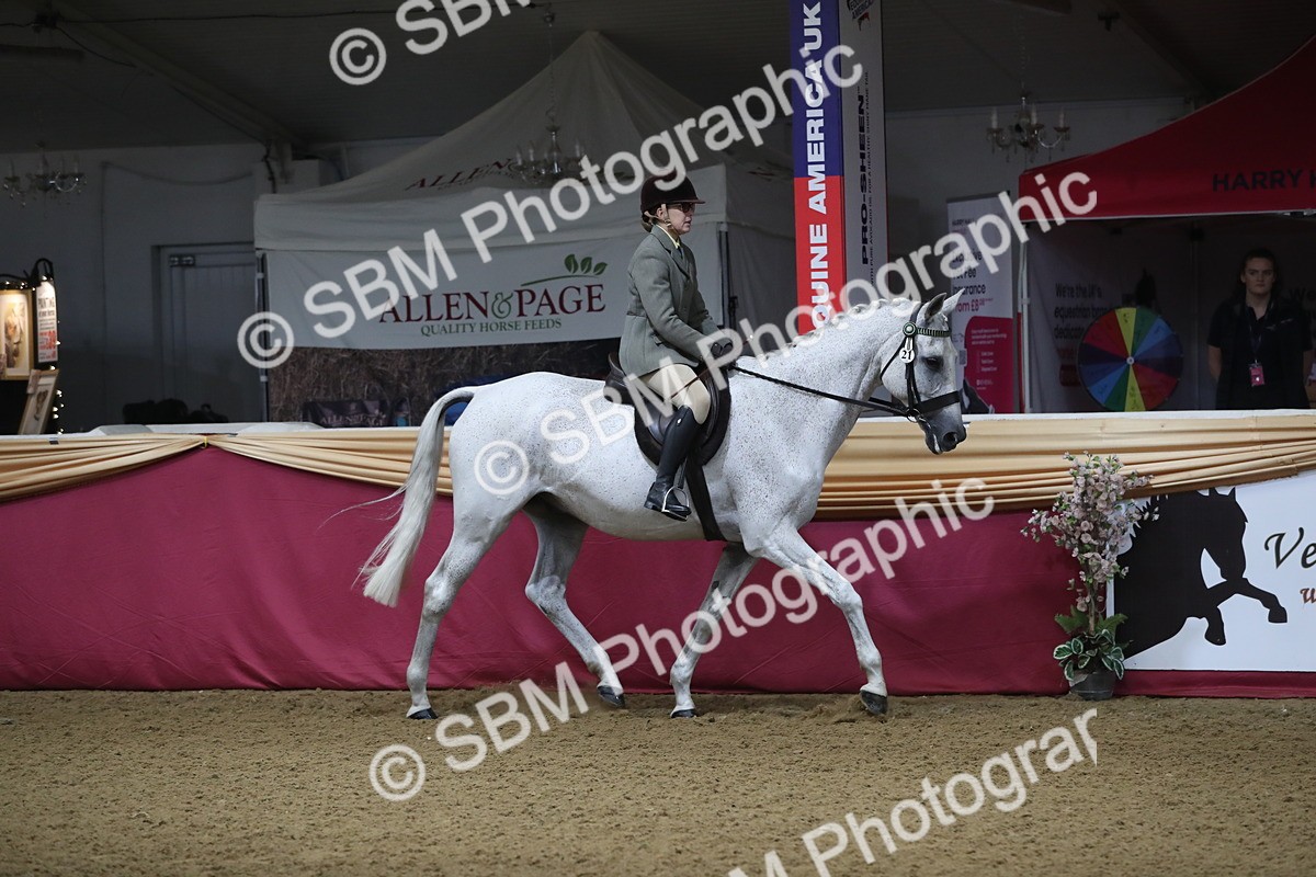 SBM_10331 - Class 102 Equitation (best rider) Adult