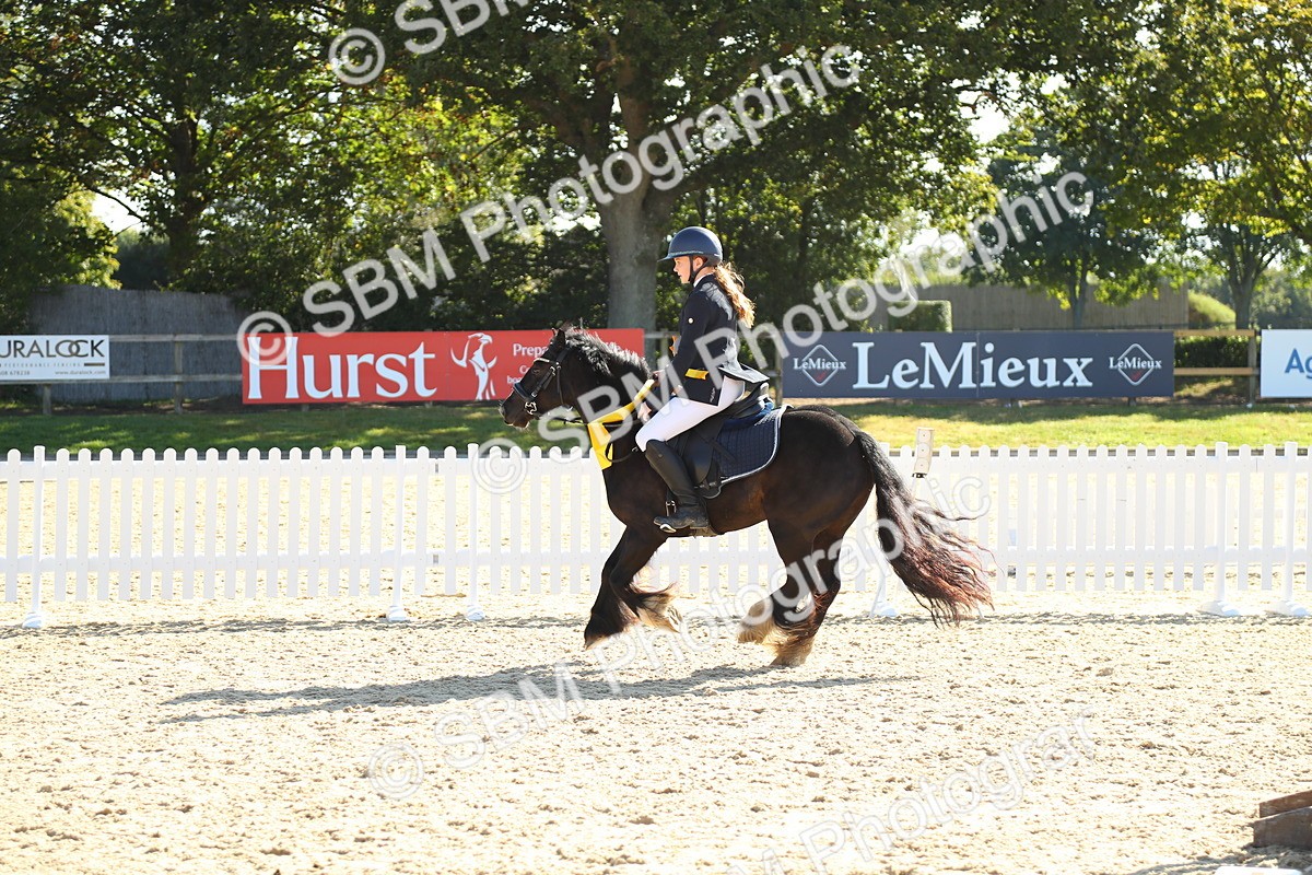 SBM_36061 - J5 - Junior Pony 50cm Championship