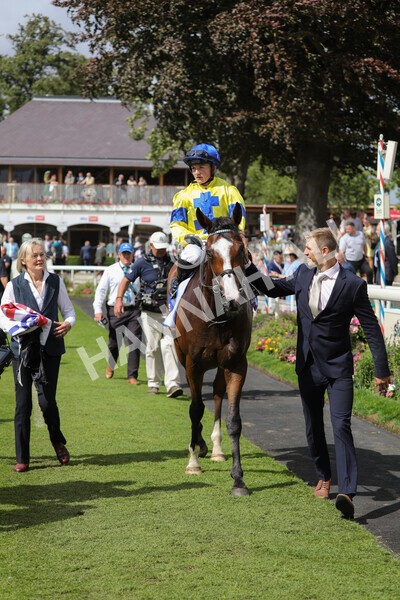 yr20082022r2-49 - Race 2 2.35pm Sky Bet Melrose Stakes