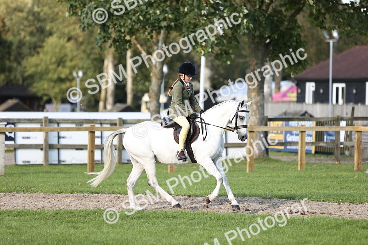 SBM_29461 - S7 - Novice & Newcomers Ridden Pony