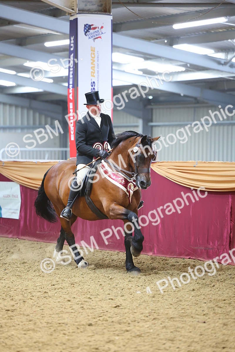 SBM_24701 - Class 906 - Supreme Final - Ridden Pre Vet
