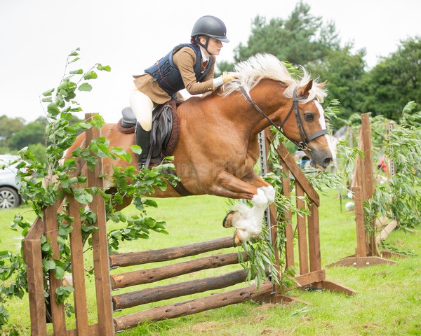 Dunblane show-357 - Dunblane and Doune Show Ring 1
