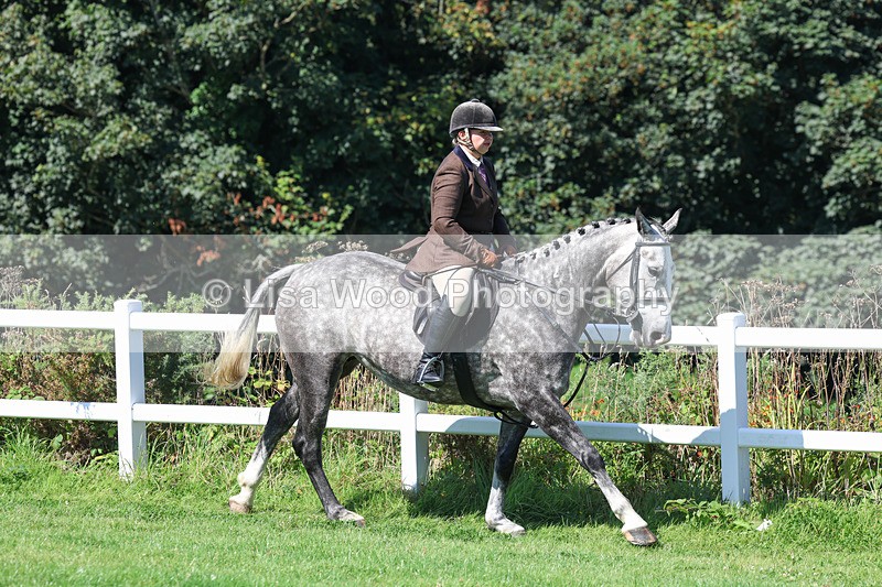 3E7A8367 - Class 4: Novice working Hunter
