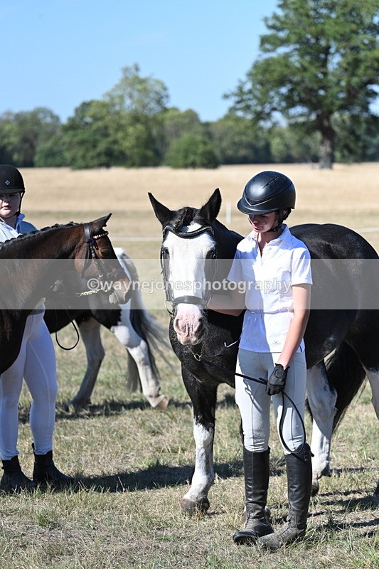 WJ7_1908 - Class 43 Best Six Legs (In hand)