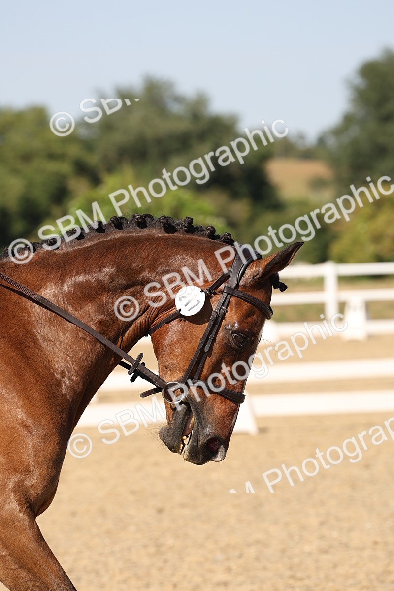 SBM_006466 - Prelim 4 - 15.56-17.51
