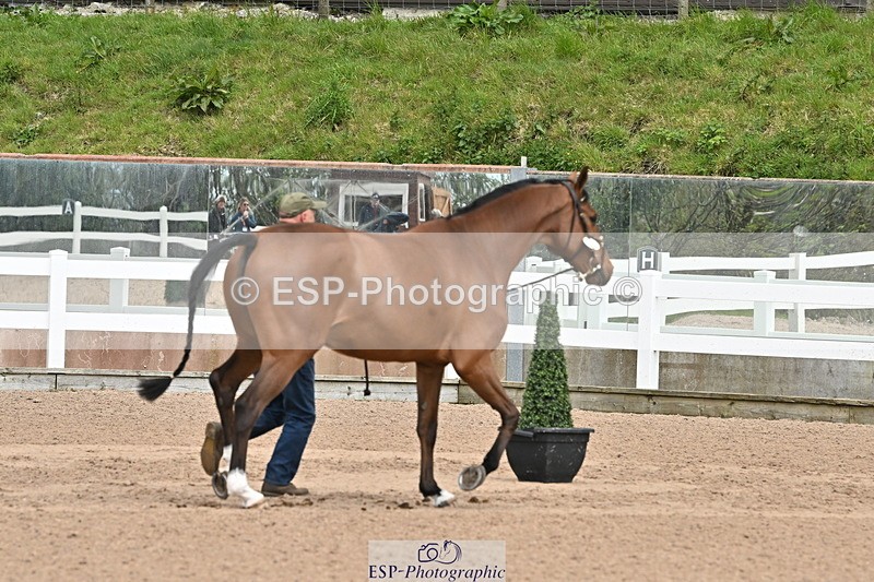 240417A-130032-00239 - 1pm to 2pm