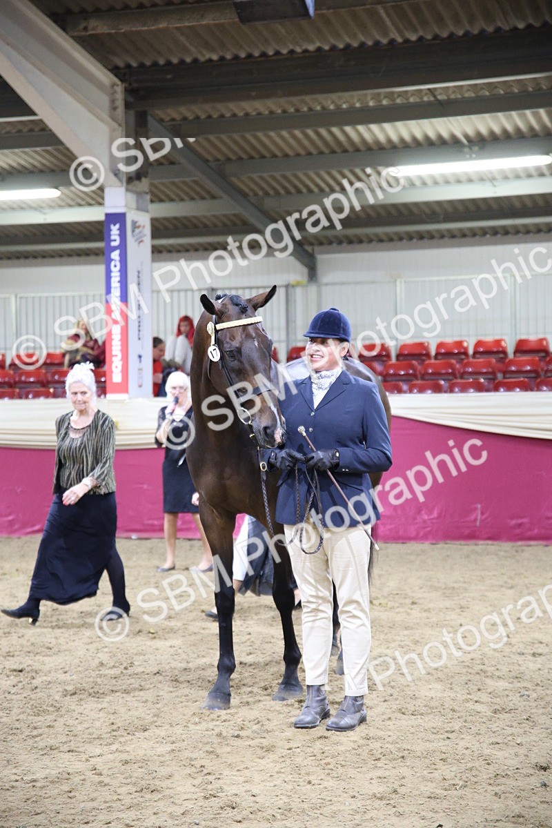 SBM_18837 - Class E IH Horse Champ