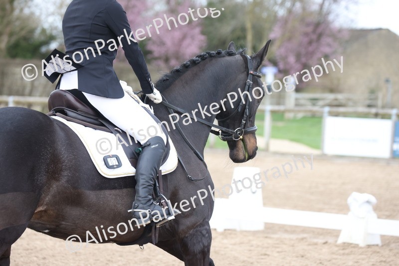 20260301-0924 - Class 6 - Elementary 5