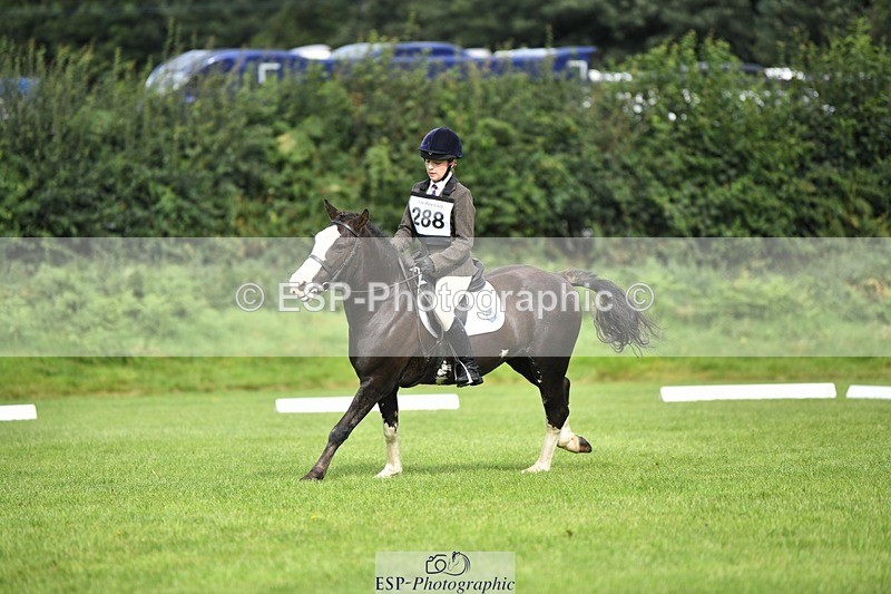 230826-100450-15353 - Sections C & D 9 to 10am