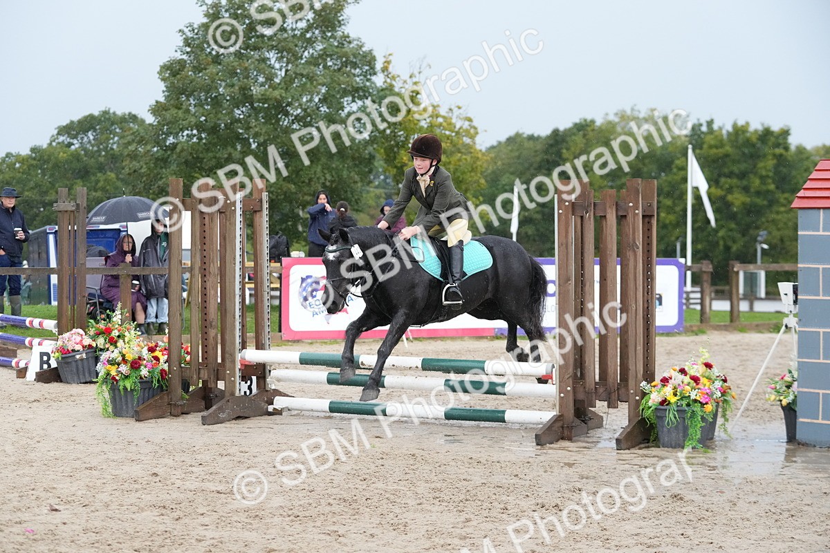 SBM_33846 - J5 - Junior Pony 50cm Championship