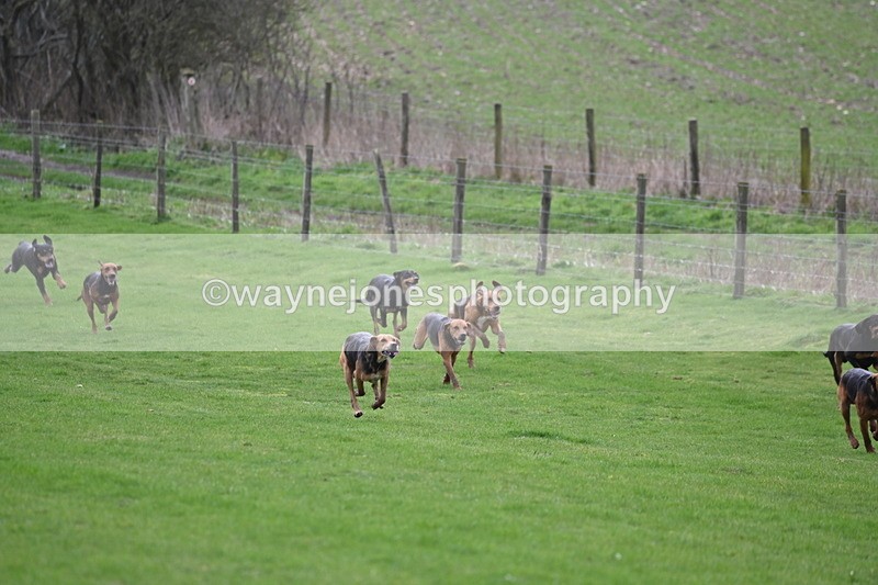 WJ6_8964 - Line Three