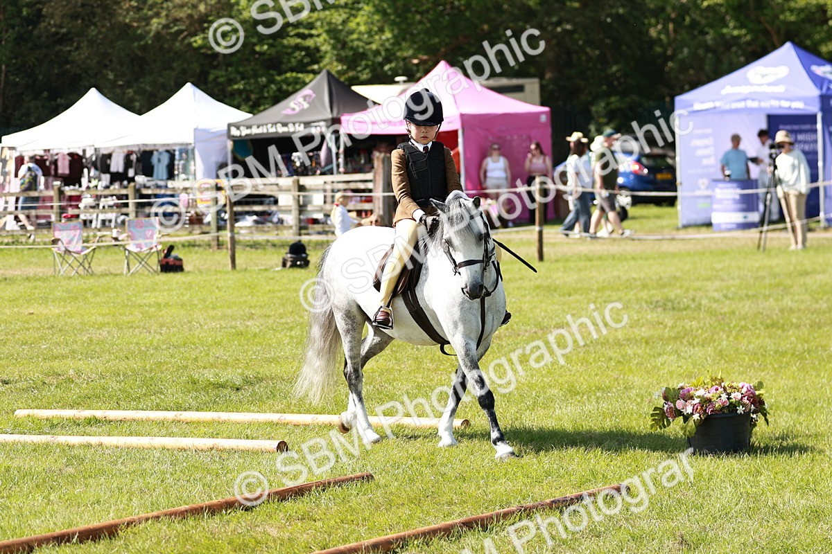 SBM_12713 - Class 106-107 - BSPS LIHS Working Sports Pony