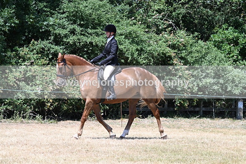 WJ7_2753 - Class 7 Riding Club Show Horse