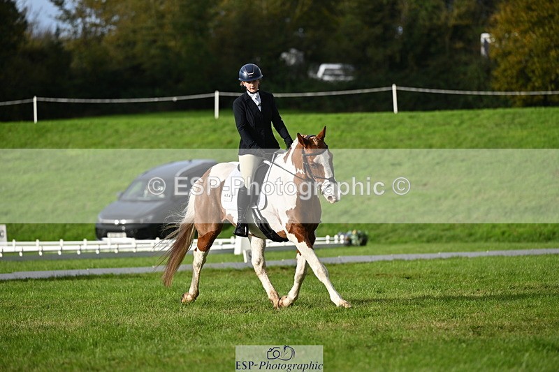 251024A-102102-08031 - F-454-Natalie.Stephens