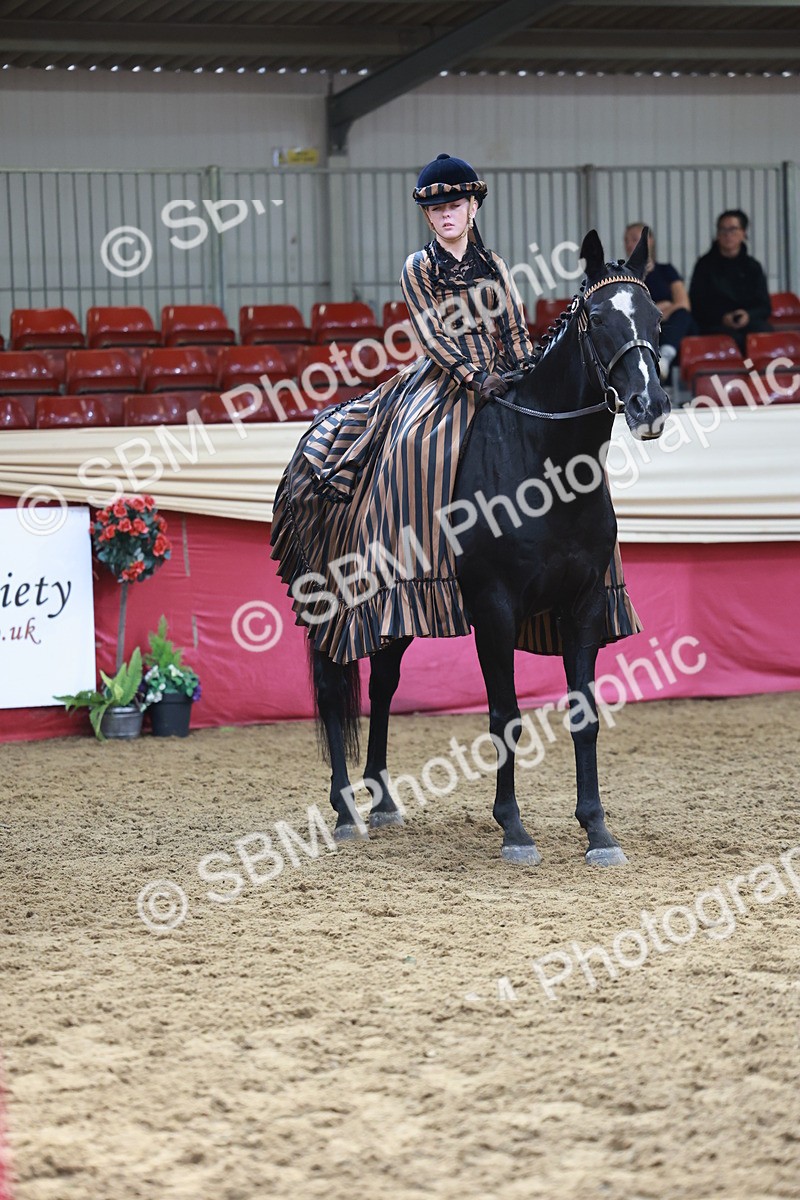 SBM_13488 - Class 104 - Ridden Costume - Astride Junior