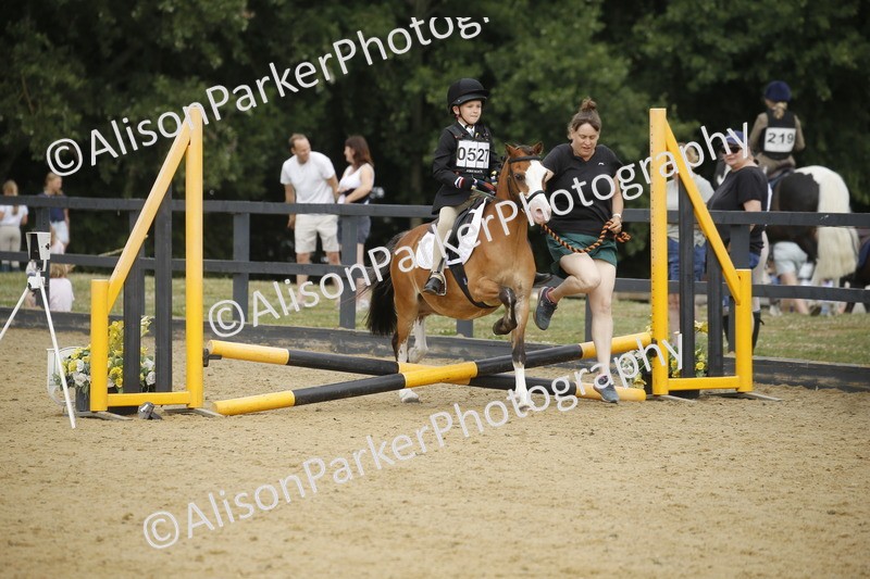 20250622-1490 - 40cm