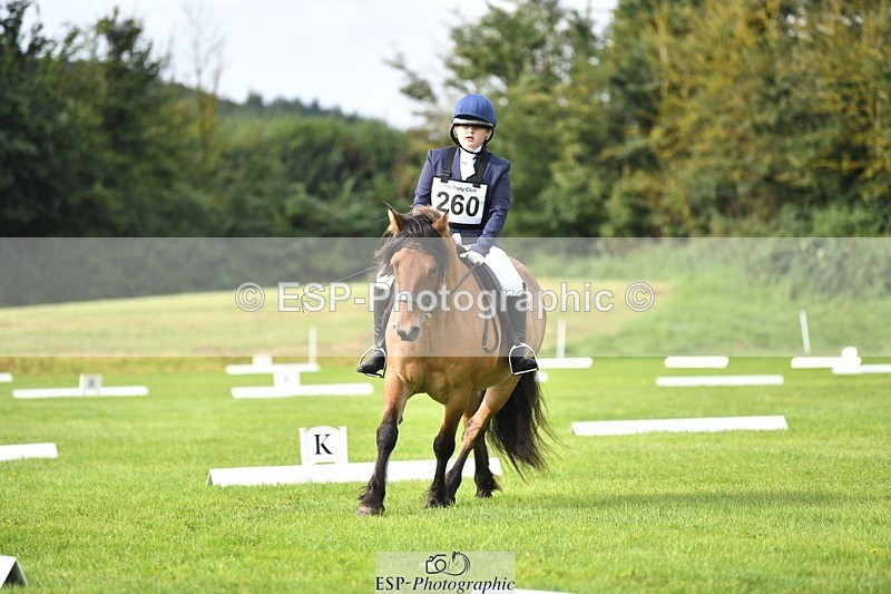 230826-100933-15385 - Sections C & D 10 to End