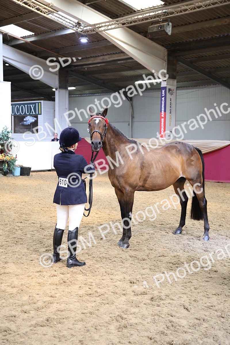 SBM_24274 - Class 905 - Supreme Final - Ridden Veteran
