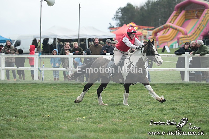 PtP 230324 138 - Tedworth Hunt PtP Larkhill Raccourse 23rd March 2024